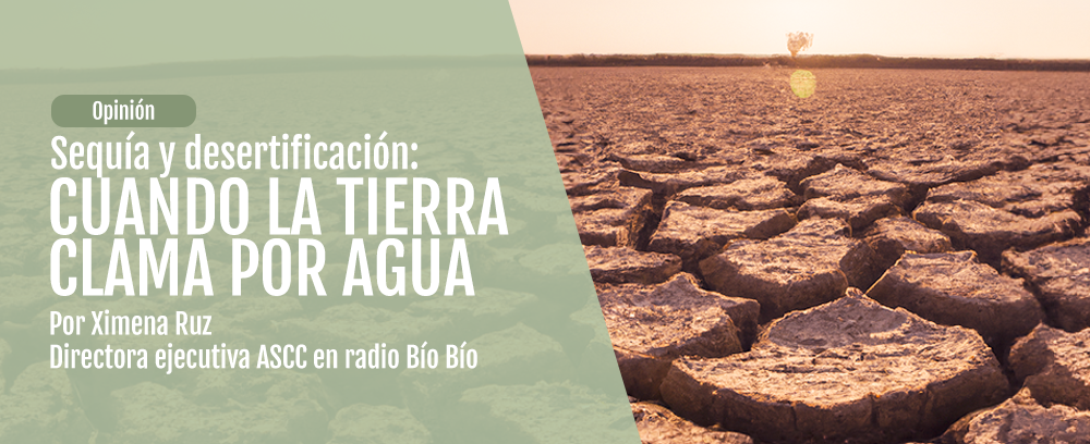 sequia y desertificacion sequia y desertificacion