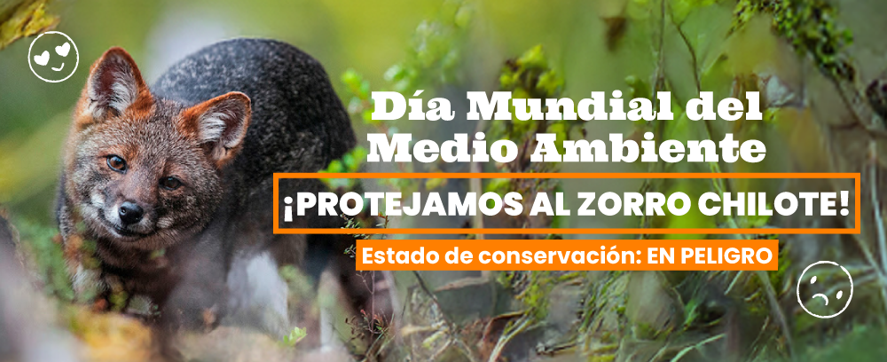 día_del_medio_ambiente día_del_medio_ambiente