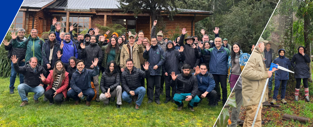apl_bosque_nativo