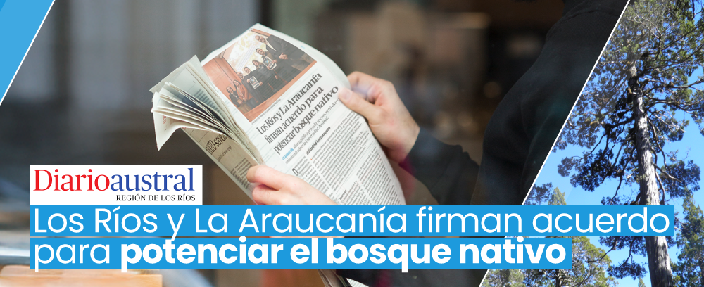 medios