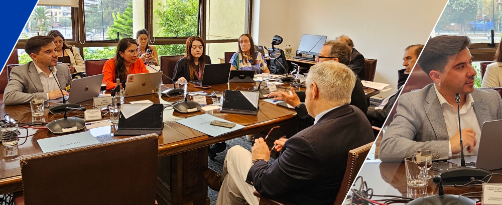 comision_medio_ambiente