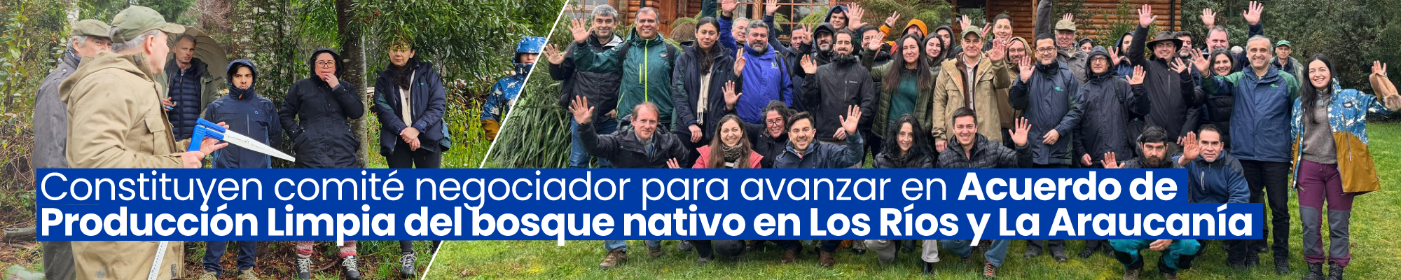 APL