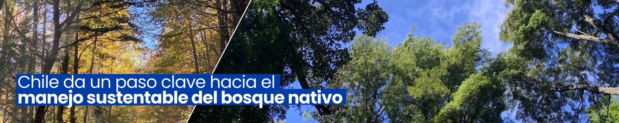 seminario