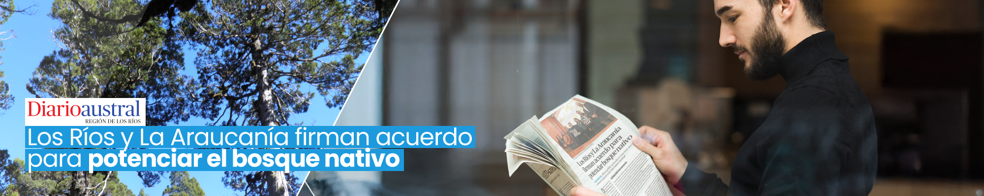 Medios