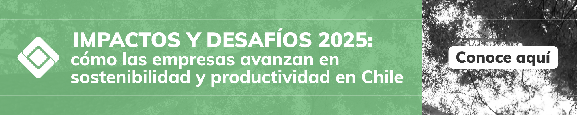 Informe